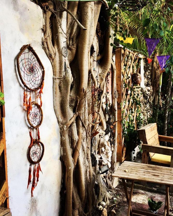 نزل كامبيشفي La Casa De La 12 المظهر الخارجي الصورة